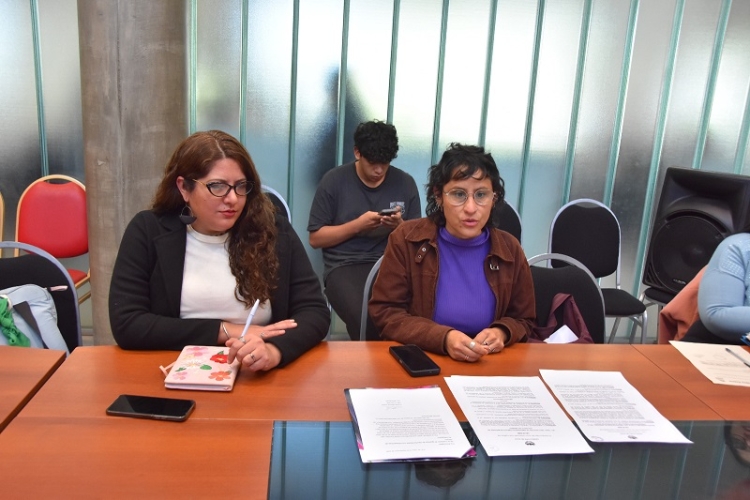 La Comisi&oacute;n de Igualdad de G&eacute;nero analiz&oacute; propuestas para fortalecer la prevenci&oacute;n de violencia en escuelas