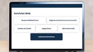 Avanza el Sistema de Subastas Electr&oacute;nicas