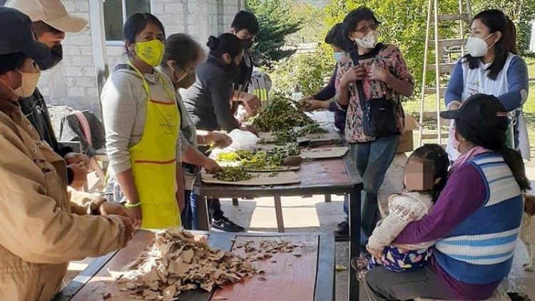 Huerteros y huerteras se capacitaron en la producci&oacute;n de compost org&aacute;nico