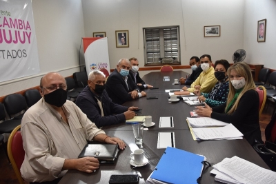 La comisi&oacute;n de salud avanza en el tratamiento del proyecto de ley de musicoterapia