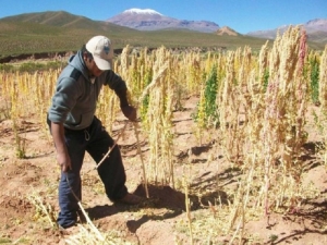 M&aacute;s de 18 millones de pesos en proyectos para Agricultura Familiar