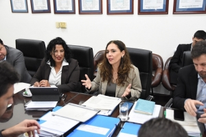 La Comisi&oacute;n de Obras y Servicios P&uacute;blicos conform&oacute; mesa interdisciplinaria para prevenci&oacute;n s&iacute;smica