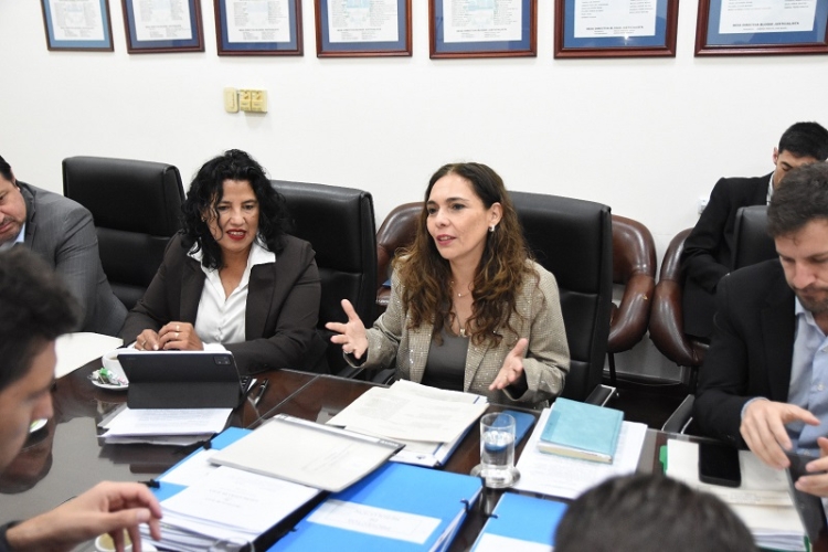 La Comisi&oacute;n de Obras y Servicios P&uacute;blicos conform&oacute; mesa interdisciplinaria para prevenci&oacute;n s&iacute;smica