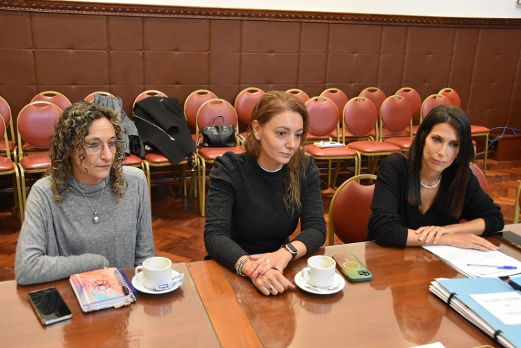 La comisi&oacute;n de Cultura y Turismo recibi&oacute; a la directora del Cabildo de Jujuy
