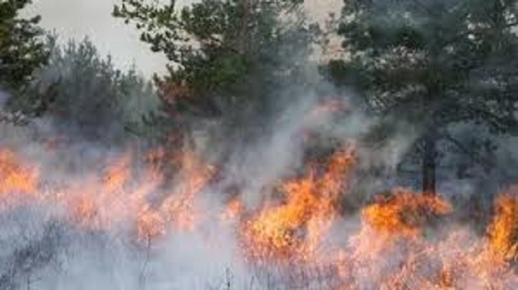 El Ministerio de Seguridad dijo que identificiar&aacute; y juzgara a los responsables de los incendios