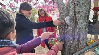 D&iacute;a Nacional del &aacute;rbol en la Escuela N&deg; 322 de Los Alisos