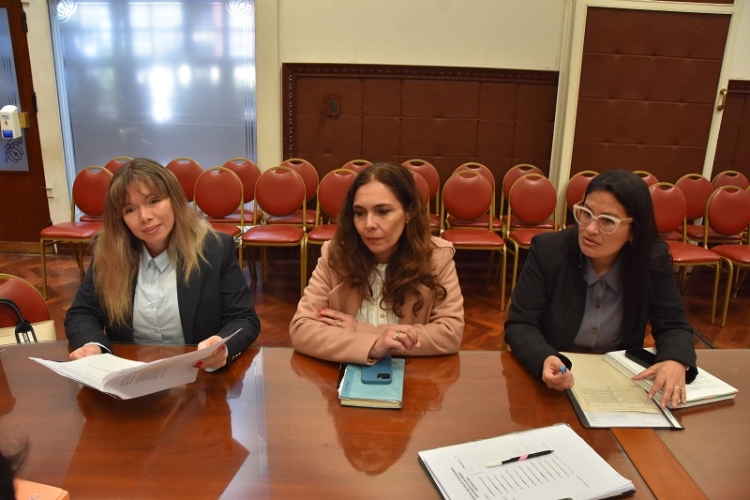 La Comisi&oacute;n de Igualdad de G&eacute;nero abord&oacute; la implementaci&oacute;n de la Ley Iara y la prevenci&oacute;n de la violencia