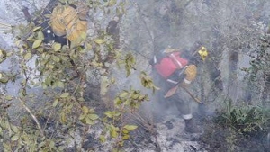 El incendio en Tiraxi Chico se encuentra contenido
