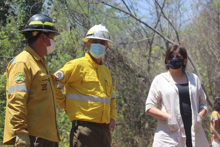 Incendios Forestales. R&aacute;pido despliegue, intenso trabajo y gran compromiso de la Brigada de Jujuy