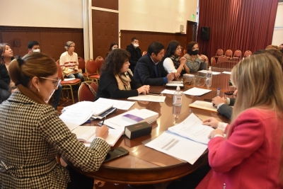 La Comisi&oacute;n de Cultura y Turismo trabaja en distintos proyectos y avanza en agenda de visita al interior de Jujuy