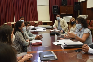 La Comisi&oacute;n de Salud recibi&oacute; a terapistas ocupacionales