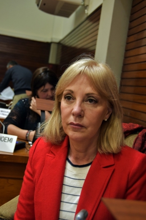 Liliana Fellner: "La violencia es una epidemia que no descansa en cuarentena".