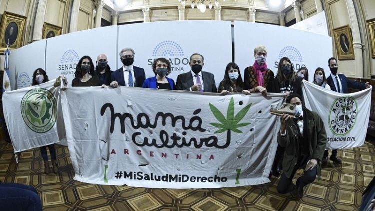 Kulfas destac&oacute; el potencial de sectores verdes, como el del cannabis medicinal y el c&aacute;&ntilde;amo