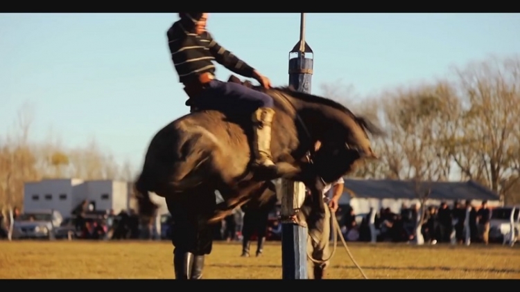 Domadores en LA VIDA ES CORTA.