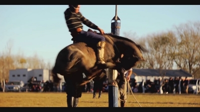 Domadores en LA VIDA ES CORTA.