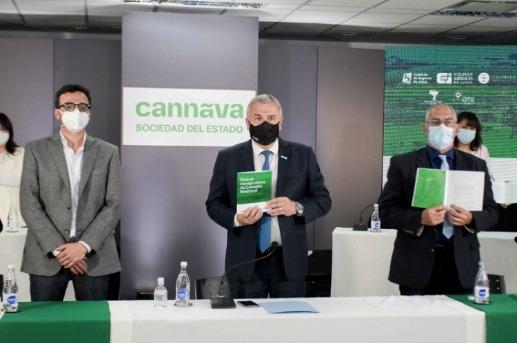 Jujuy present&oacute; la primera gu&iacute;a de manejo cl&iacute;nico de cannabis medicinal del Pa&iacute;s