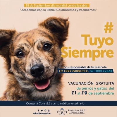 Recomiendan vacunar a las mascotas para prevenir rabia humana