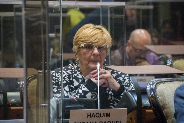 La legislatura trabaja en una ley para garantizar y reconocer el derecho a la identidad biol&oacute;gica o de origen