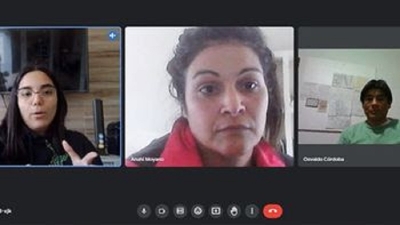 Litio: intercambian experiencias en control minero