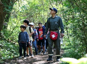 Calendario de actividades de verano 2024 en el Parque Bot&aacute;nico Municipal