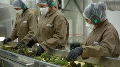 Cannava obtuvo importante Certificaci&oacute;n Internacional de Calidad