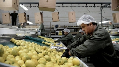 Los consumidores pagan cuatro veces m&aacute;s de que lo que cobran los productores agropecuarios