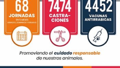 Fuerte impacto del proyecto "Conciencia Animal": M&aacute;s de 7.400 castraciones en seis meses