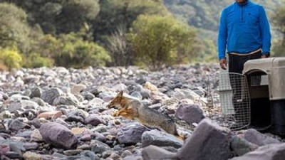 El CAFAJu celebra 10 a&ntilde;os cuidando la fauna aut&oacute;ctona