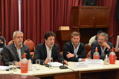 Avanza el tratamiento parlamentario del proyecto de ley de reforma parcial de la constituci&oacute;n