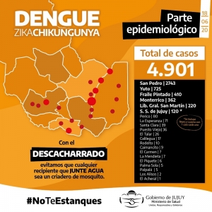 Son 4901 los casos de dengue en Jujuy