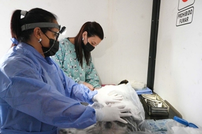 Zoonosis municipal: cronograma semanal de actividades en distintos barrios de la ciudad