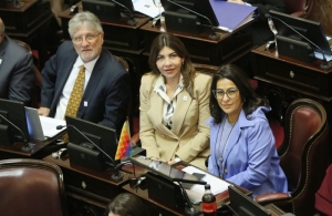 &ldquo;Vamos a defender las Malvinas desde el congreso de la naci&oacute;n&rdquo;