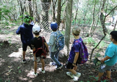 Contin&uacute;a la propuesta &ldquo;Yungueritos en vacaciones&rdquo; del Parque Bot&aacute;nico municipal