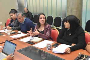 La Comisión de Asuntos Sociales avanza en la actualización de la ley de trabajadores sociales