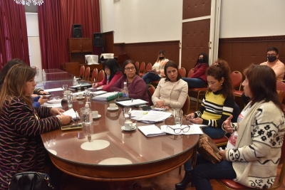 La Comisi&oacute;n de G&eacute;nero recibi&oacute; la visita de la madre de la joven Iara Rueda