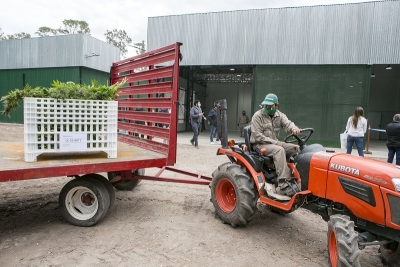 Se inaugur&oacute; el Complejo de Biotecnolog&iacute;a para producir cannabis medicinal a escala industrial en Jujuy