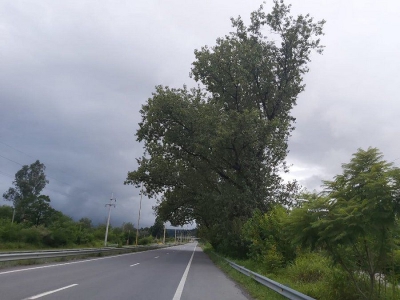 Corte programado en Ruta Nacional N&ordm; 9