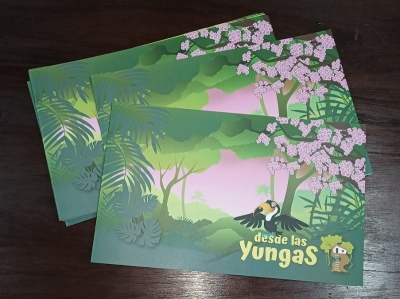 Ledesma y ProYungas presentan la revista #DesdeLasYungas en la Feria del Libro