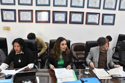 La Comisi&oacute;n de Obras y Servicios P&uacute;blicos analiz&oacute; el proyecto de Ley de Emergencia Habitacional