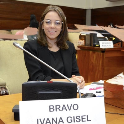 Bravo: &ldquo;El ajuste libertario convirti&oacute; las rutas en un peligro fatal&rdquo;