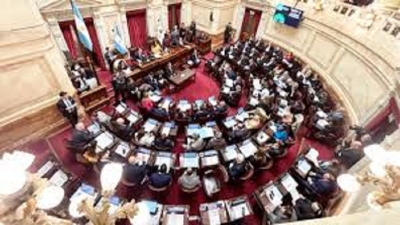 El Senado convirti&oacute; en ley el financiamiento universitario