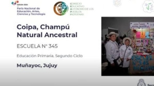 Jujuy cerr&oacute; su participaci&oacute;n en la Feria Nacional de Ciencias con distinciones y menciones