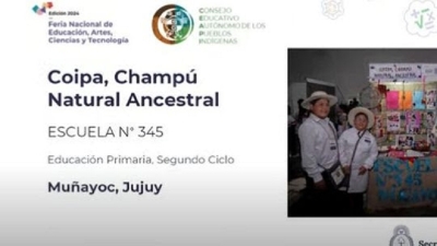 Jujuy cerr&oacute; su participaci&oacute;n en la Feria Nacional de Ciencias con distinciones y menciones
