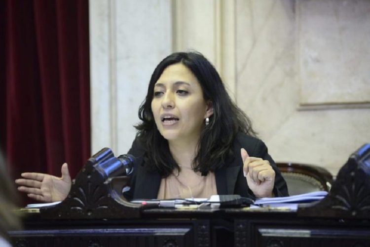 Leila Chaher: &ldquo;La boleta &uacute;nica no genera m&aacute;s transparencia ni mejor democracia&rdquo;