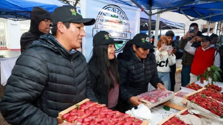 El gobernador destac&oacute; el impacto de la producci&oacute;n de frutilla en la generaci&oacute;n de empleo