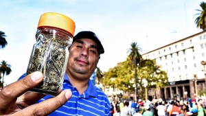 Cannabis medicinal: autocultivo y acceso gratuito, las claves de la nueva reglamentaci&oacute;n