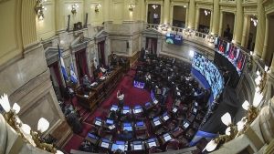 El Senado debatir&aacute; este jueves el proyecto sobre medidas para contener la pandemia