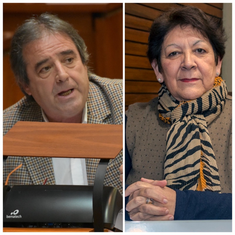 Es lamentable que la justicia atente contra la educaci&oacute;n de los chicos