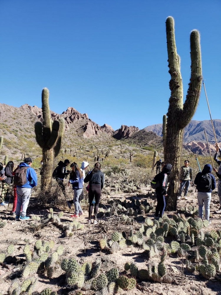6ta Remediaci&oacute;n de Cardones. 35 hect&aacute;reas de cardones fueron remediadas en Maimar&aacute;
