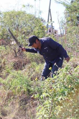Palpalá avanza con obras en los barrios y acciones que mejoran la calidad de vida de los vecinos